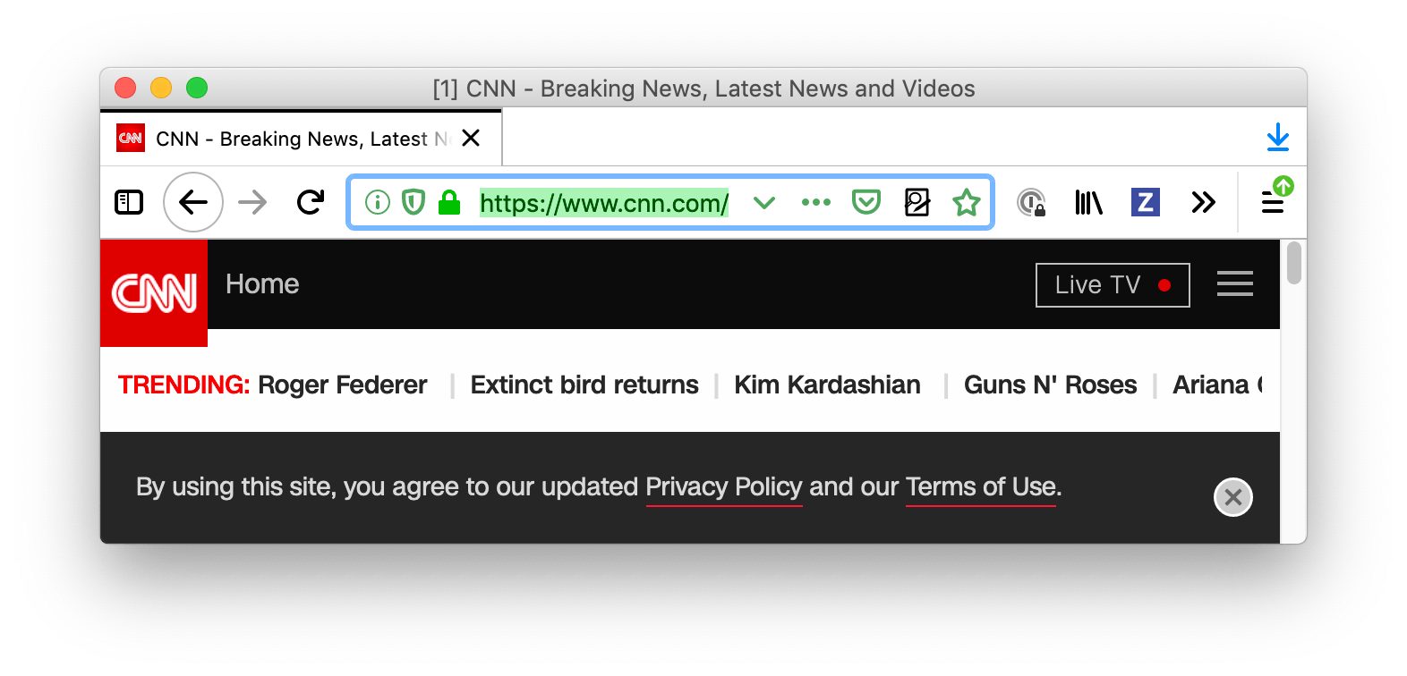 Browser firefox is white. Browser's tab and URL bar are white with text and icons in black. The URL bar field is focused and outlined in blue and URL bar text is selected.