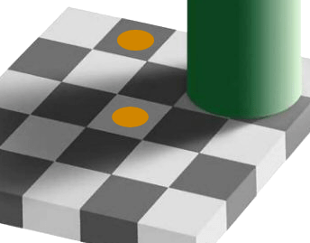 An image of a checkerboard, where identical colors look different if they are in shadow