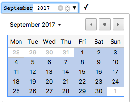 Month control on chrome browser